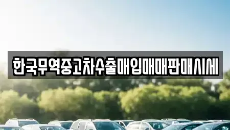 충남 청양군 비봉면 중고차 전문 한국무역중고차수출매입매매판매시세