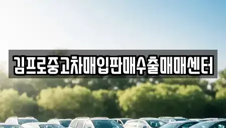충남 청양군 비봉면 중고차매입 전문 김프로중고차매입판매수출매매센터