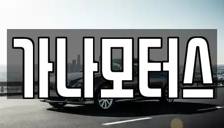 충남 홍성군 홍북읍 중고차 전문 가나모터스