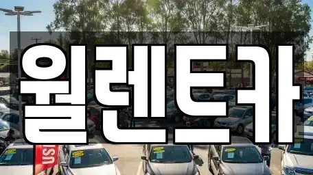충북 음성군 삼성면 렌트카 전문 월렌트카