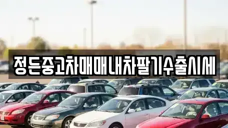 충북 음성군 삼성면 중고차 전문 정든중고차매매내차팔기수출시세