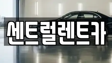 충북 청주시 상당구 석교동 렌트카 전문 센트럴렌트카