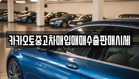 충북 청주시 상당구 석교동 중고차 전문 카카오토중고차매입매매수출판매시세