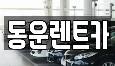충북 청주시 흥덕구 복대동 렌트카 전문 동운렌트카