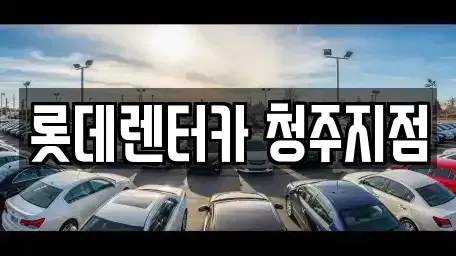 충북 청주시 흥덕구 복대동 렌트카 전문 롯데렌터카 청주지점