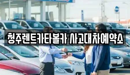 충북 청주시 흥덕구 복대동 렌트카 전문 청주렌트카타볼카 사고대차예약소