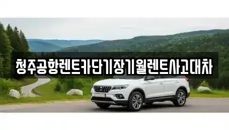 충북 청주시 흥덕구 복대동 장기렌트카 전문 청주공항렌트카단기장기월렌트사고대차