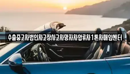 충북 충주시 성남동 중고차매입 전문 수출중고차법인차고장사고차망자차압류차1톤차매입센터