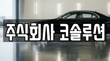 충북 충주시 연수동 렌트카 전문 주식회사 코솔루션