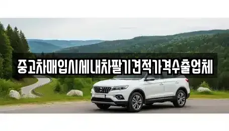 충북 충주시 연수동 중고차매입 전문 중고차매입시세내차팔기견적가격수출업체