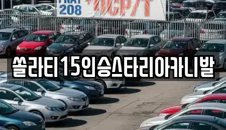 충북 충주시 중앙탑면 렌트카 전문 쏠라티15인승스타리아카니발