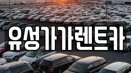 충청남도 계룡시 렌트카 전문 유성가가렌트카