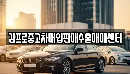 충청남도 공주시 산성동 중고차 전문 김프로중고차매입판매수출매매센터