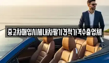충청남도 공주시 산성동 중고차 전문 중고차매입시세내차팔기견적가격수출업체