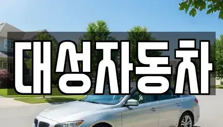 충청남도 논산시 부적면 중고차매매 전문 대성자동차