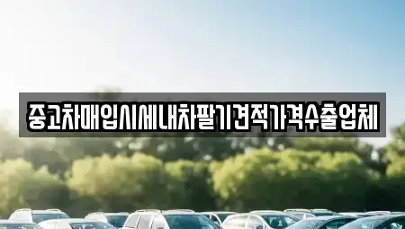 충청남도 논산시 부적면 중고차매입 전문 중고차매입시세내차팔기견적가격수출업체