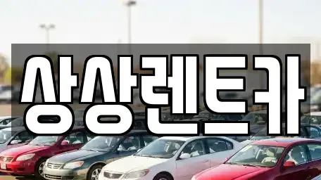 충청남도 서천군 서천읍 렌트카 전문 상상렌트카