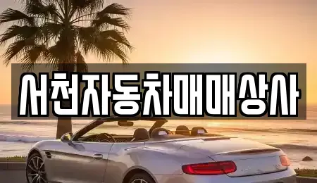 충청남도 서천군 서천읍 중고차 전문 서천자동차매매상사