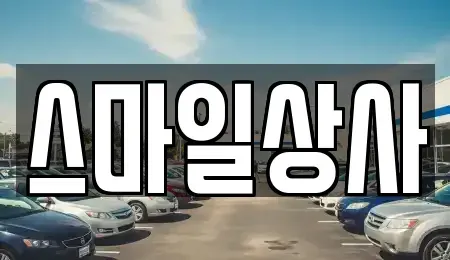 충청남도 서천군 서천읍 중고차 전문 스마일상사