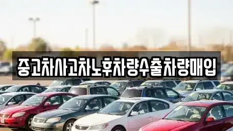 충청남도 서천군 서천읍 중고차 전문 중고차사고차노후차량수출차량매입