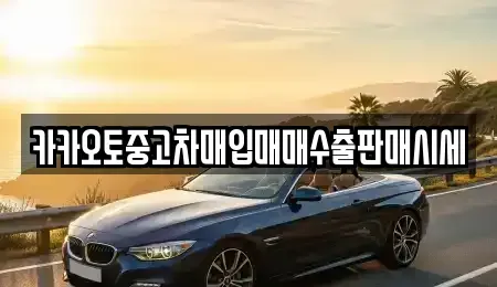 충청남도 서천군 종천면 중고차매매,단기렌트카,중고차매입,장기렌트카,중고차,렌트카