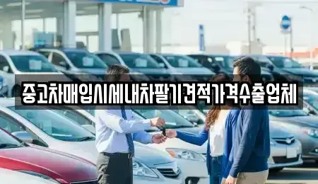 충청남도 서천군 종천면 중고차매입 전문 중고차매입시세내차팔기견적가격수출업체
