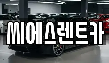 충청남도 천안시 동남구 오룡동 렌트카 전문 씨에스렌트카