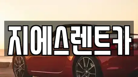충청남도 천안시 동남구 오룡동 렌트카 전문 지에스렌트카