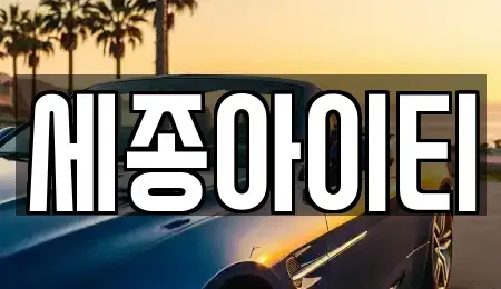 충청남도 천안시 동남구 오룡동 중고차 전문 세종아이티