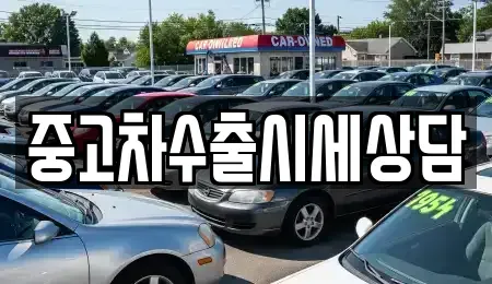 충청남도 천안시 동남구 오룡동 중고차 전문 중고차수출시세상담