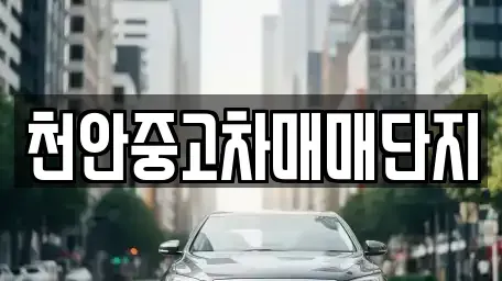 충청남도 천안시 동남구 오룡동 중고차 전문 천안중고차매매단지