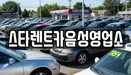 충청북도 음성군 감곡면 렌트카 전문 스타렌트카음성영업소