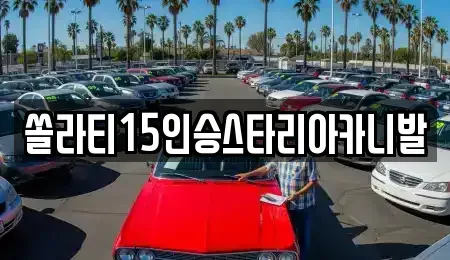 충청북도 제천시 천남동 렌트카 전문 쏠라티15인승스타리아카니발