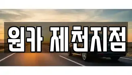충청북도 제천시 천남동 렌트카 전문 원카 제천지점