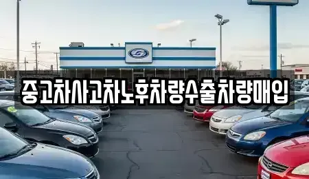 충청북도 제천시 천남동 단기렌트카,중고차매입,중고차매매,중고차,렌트카,장기렌트카