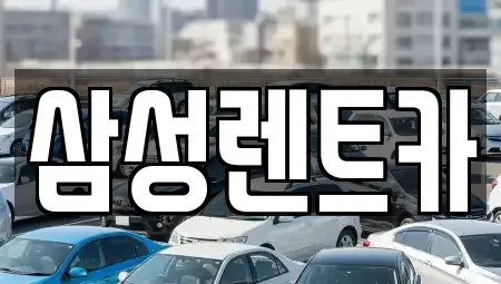 충청북도 청주시 서원구 장성동 렌트카 전문 삼성렌트카