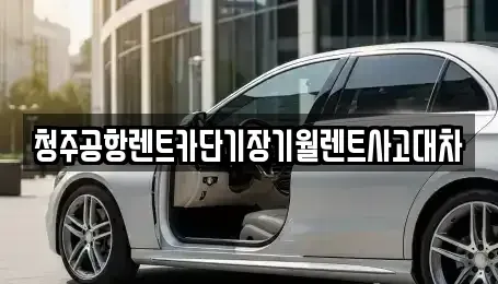 충청북도 청주시 서원구 장성동 렌트카 전문 청주공항렌트카단기장기월렌트사고대차