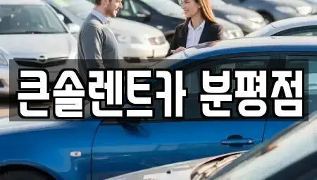충청북도 청주시 서원구 장성동 렌트카 전문 큰솔렌트카 분평점