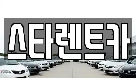 충청북도 청주시 청원구 내덕동 렌트카 전문 스타렌트카