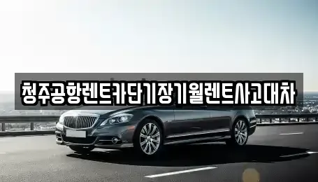 충청북도 청주시 청원구 내덕동 장기렌트카 전문 청주공항렌트카단기장기월렌트사고대차