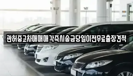 충청북도 청주시 청원구 내덕동 중고차 전문 관허중고차매매매각즉시송금당일이전무료출장견적