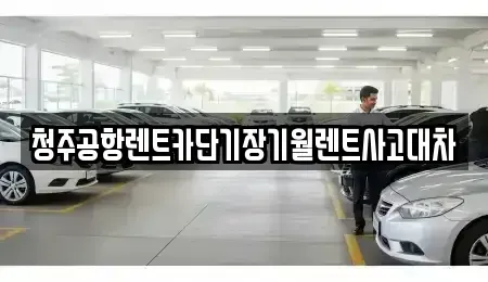 충청북도 청주시 청원구 율량동 단기렌트카 전문 청주공항렌트카단기장기월렌트사고대차
