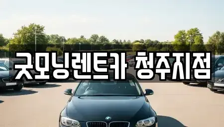 충청북도 청주시 청원구 율량동 렌트카 전문 굿모닝렌트카 청주지점