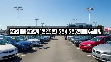 충청북도 청주시 청원구 율량동 중고차매입 전문 중고화물차중고트럭1톤2.5톤3.5톤4.5톤5톤매매수출매입