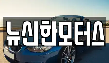 충청북도 청주시 흥덕구 가경동 중고차 전문 뉴신한모터스