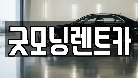 충청북도 충주시 대소원면 렌트카 전문 굿모닝렌트카