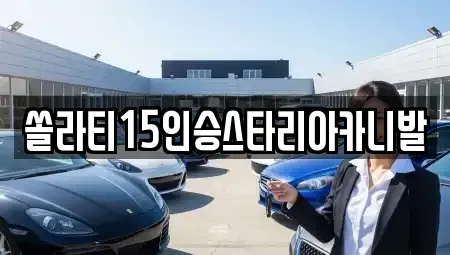 충청북도 충주시 대소원면 렌트카 전문 쏠라티15인승스타리아카니발