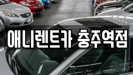 충청북도 충주시 대소원면 렌트카 전문 애니렌트카 충주역점