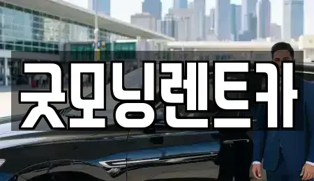 충청북도 충주시 연수동 렌트카 전문 굿모닝렌트카