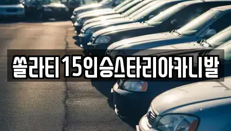 충청북도 충주시 종민동 렌트카 전문 쏠라티15인승스타리아카니발